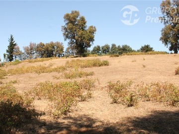 Imagen 16