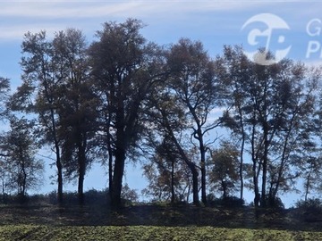 Imagen 9
