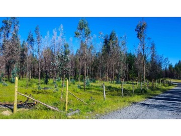 Venta / Parcela / Quillón