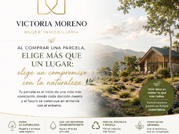 Imagen 6