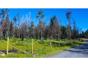 Venta / Parcela / Quillón