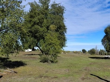 Imagen 8