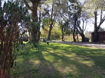 Imagen 26