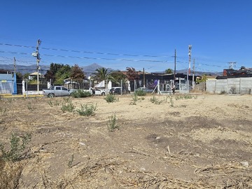 Imagen 8