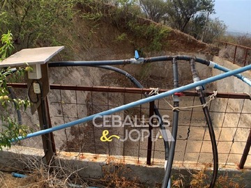 Imagen 20