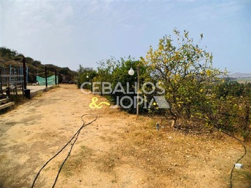 Imagen 14