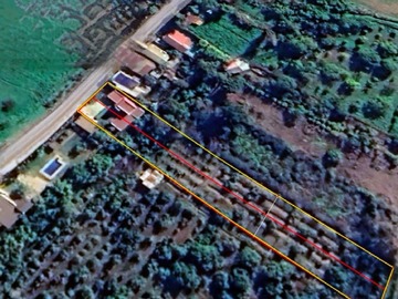 Imagen 13