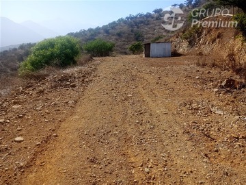 Imagen 7