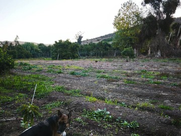 Imagen 11