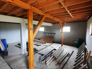 Imagen 6