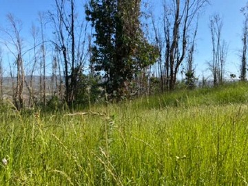 Venta / Parcela / Quillota