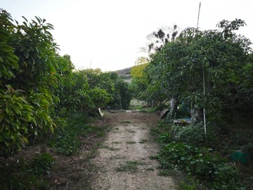 Imagen 9