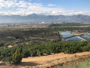 Venta / Parcela / Quillota