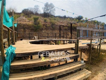 Imagen 6