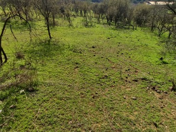 Imagen 8