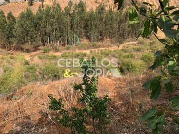 Imagen 12