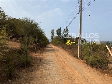 Imagen 9