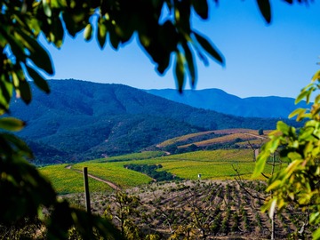 Venta / Parcela / Quillota