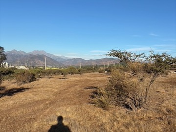 VISTA DESDE EL INTERIOR PARCELA