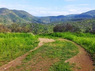 Venta / Parcela / Quillota
