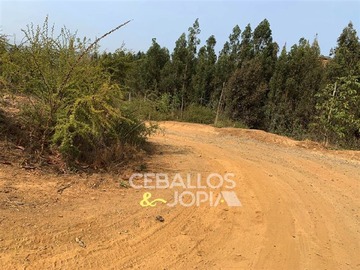 Imagen 5