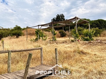 Imagen 21