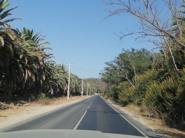 Venta / Parcela / Quillota