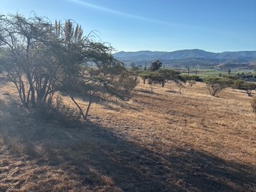 VISTA INTERIOR PARCELA
