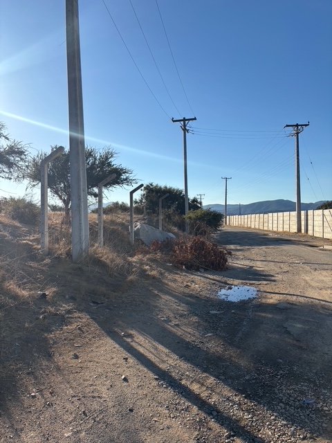 VISTA CAMINO INTERIOR HACIA PARCELA