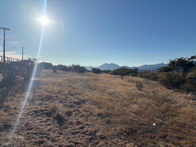 VISTA INTERIOR PARCELA