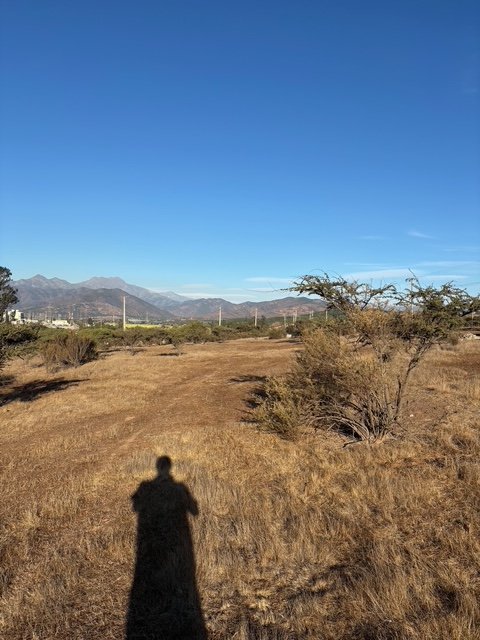VISTA DESDE EL INTERIOR PARCELA
