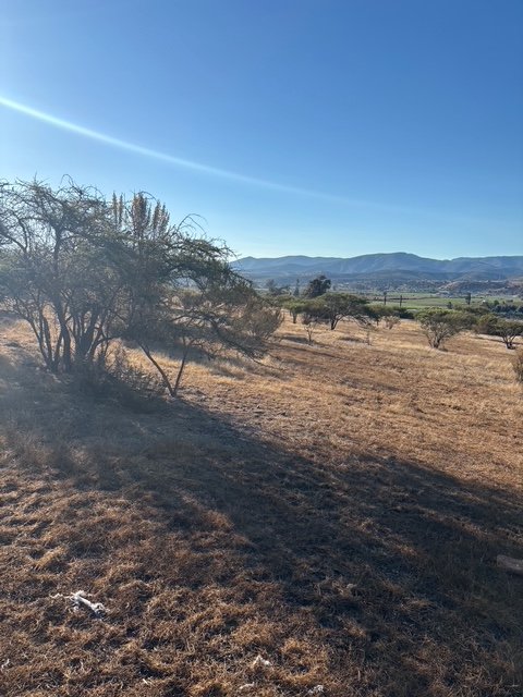 VISTA INTERIOR PARCELA