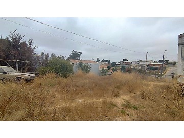 Imagen 5