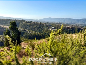 Imagen 13
