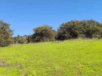 Venta / Parcela / Quilpué