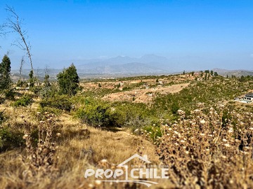 Imagen 15