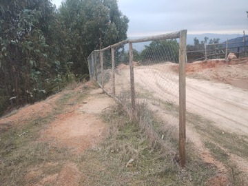 Imagen 14