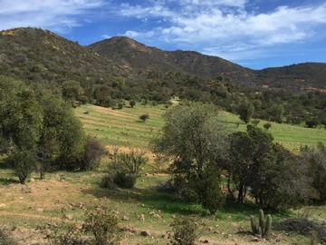 Venta / Parcela / Quilpué