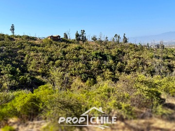 Imagen 14