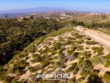 Imagen 6