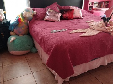 Imagen 12