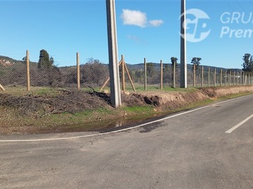 Imagen 6