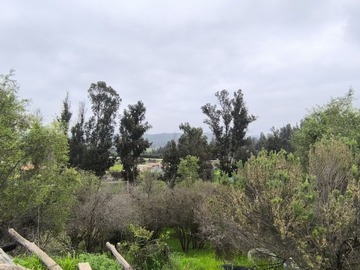 Imagen 18
