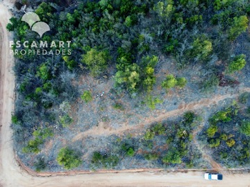 Imagen 5