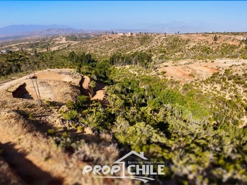 Imagen 7