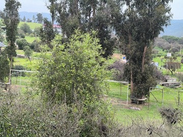 Imagen 23