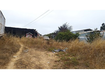 Imagen 8