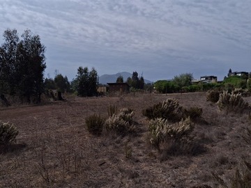 Imagen 9