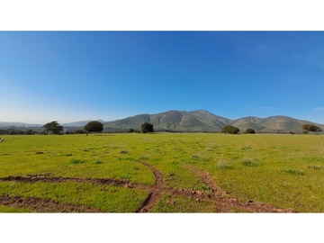 Venta / Parcela / Quintero