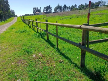 Imagen 10